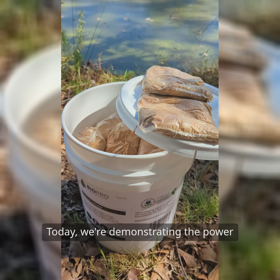 Demonstration of BioShock Extreme in Pond